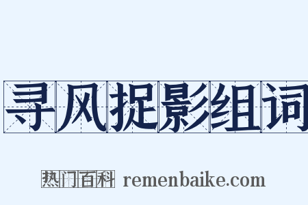 寻风捉影组词是什么意思的图片